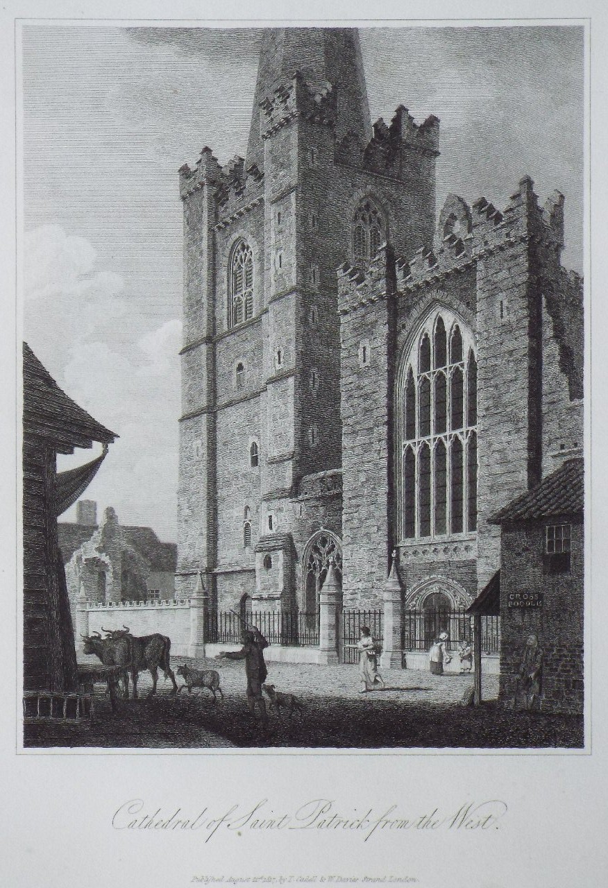 Print - Cathedral of Saint Patrick from the West.